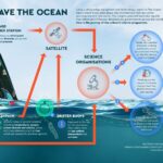 La regata The Ocean Race recorre el mundo y recoge datos sobre medio ambiente.