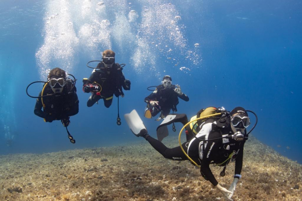 Club Nàutic S’Arenal acoge el Mallorca Dive Camp para educar sobre biodiversidad marina