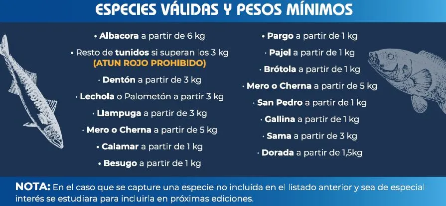 Inicia el Concurso Anual de Pieza Mayor 2024 en el Club Náutico Campello
