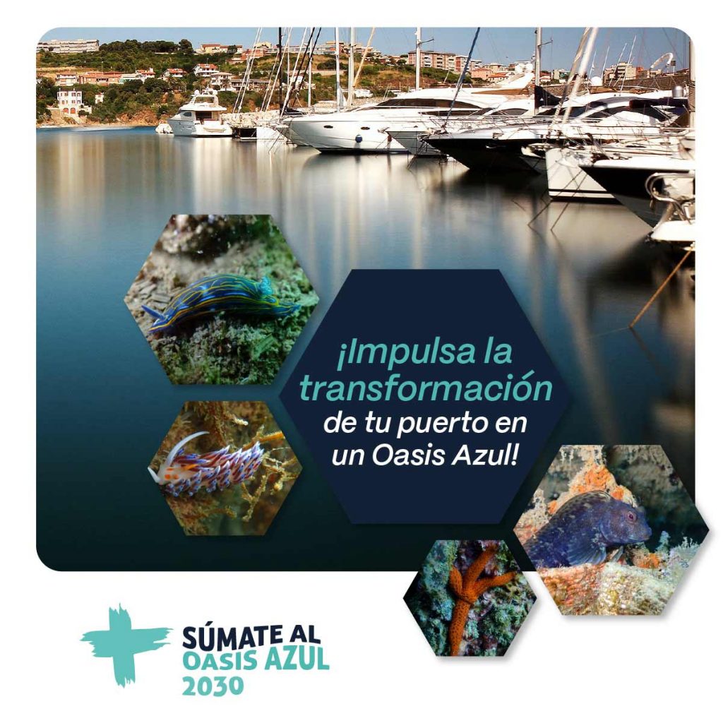 Súmate al Oasis Azul contribuye a la regeneración y preservación del litoral catalán
