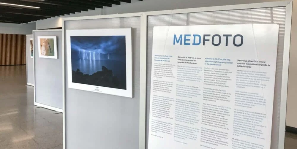 El MedFoto se exhibe en la 2024 Ocean Decade Conference de Barcelona