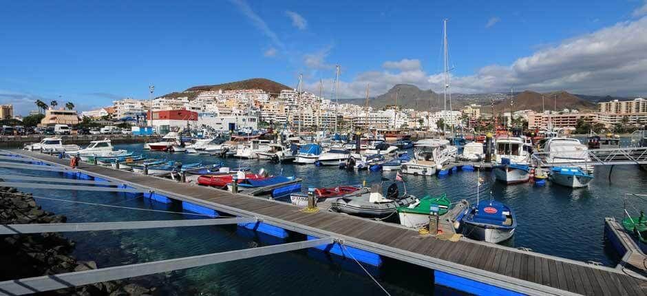 1º Foro Azul sobre Marinas en las Comunidades Autónomas Españolas