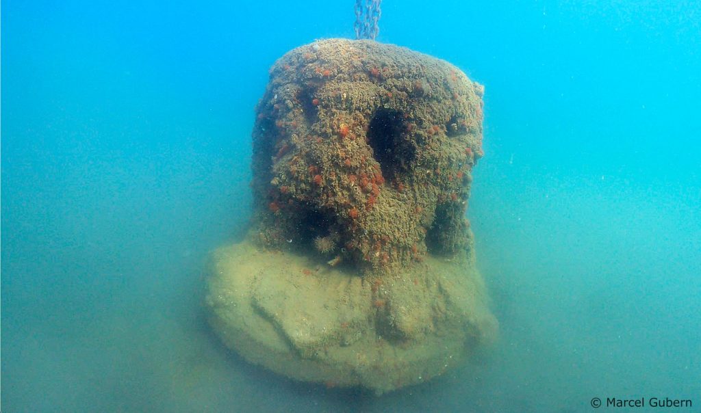 Los biotopos de la bocana del Port de Mataró se llenan de vida