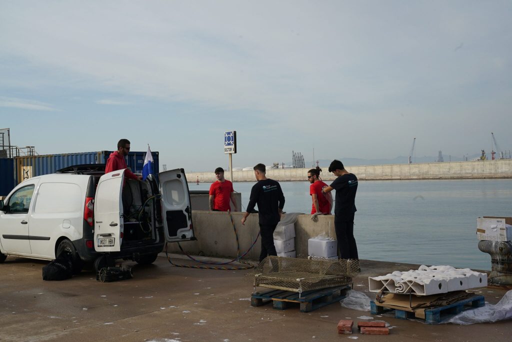 PortCastelló impulsa la recuperación de la biodiversidad marina