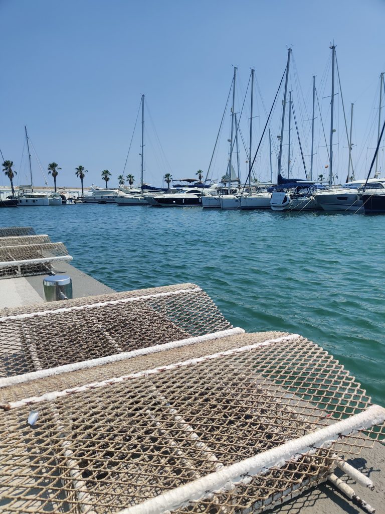 Puerto de Sitges apuesta por la biodiversidad marina