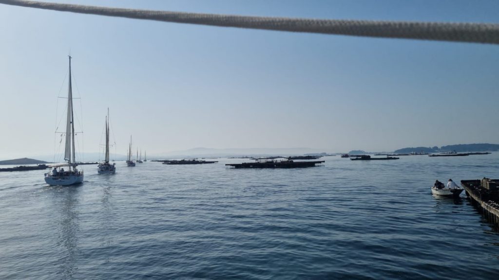 Vilagarcía de Arousa recibe a los peregrinos de El Camino a Vela 