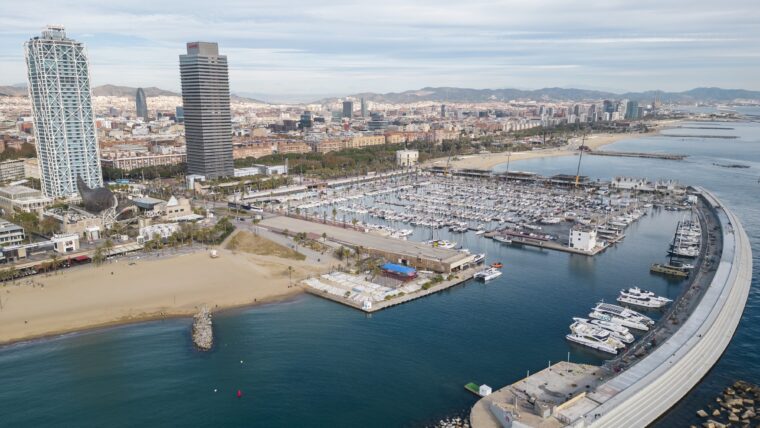 Más de cien especies marinas se recuperan gracias a los arrecifes artificiales del Puerto Olímpico