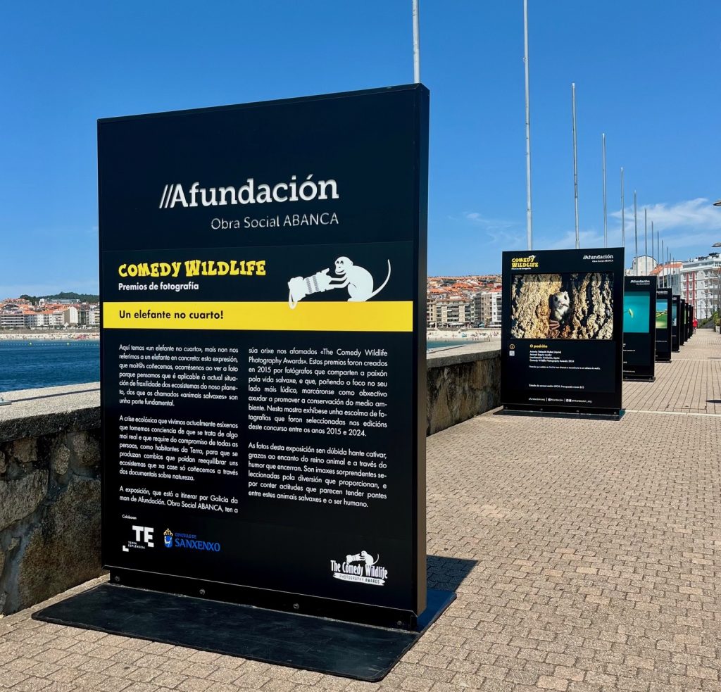La exposición “Comedy Wildlife” llega al Puerto Deportivo Juan Carlos I de Sanxenxo